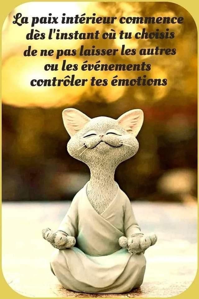 Citations de films : Perles de sagesse et d'émotion