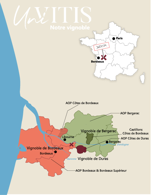 Comprendre l'Appellation : Définition, Avantages et Guide...