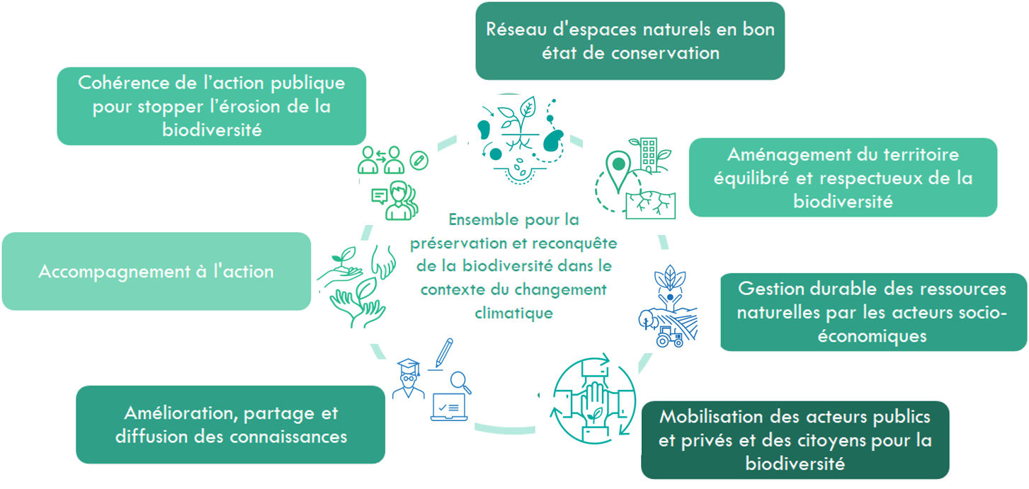 Comprendre le Territoire : Enjeux, Stratégies et Perspec...