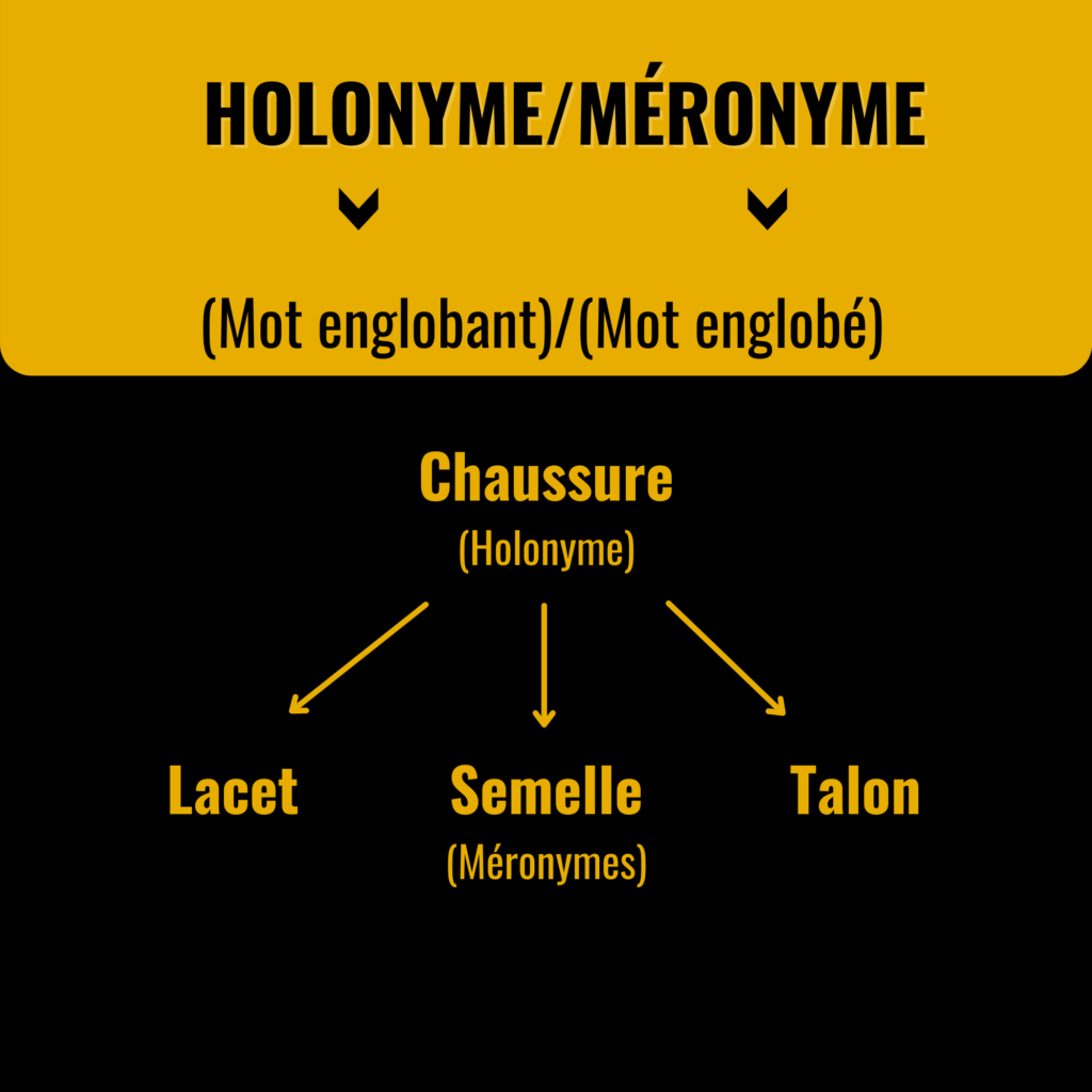 Comprendre les Méronymes : Définition, Utilisation et A...