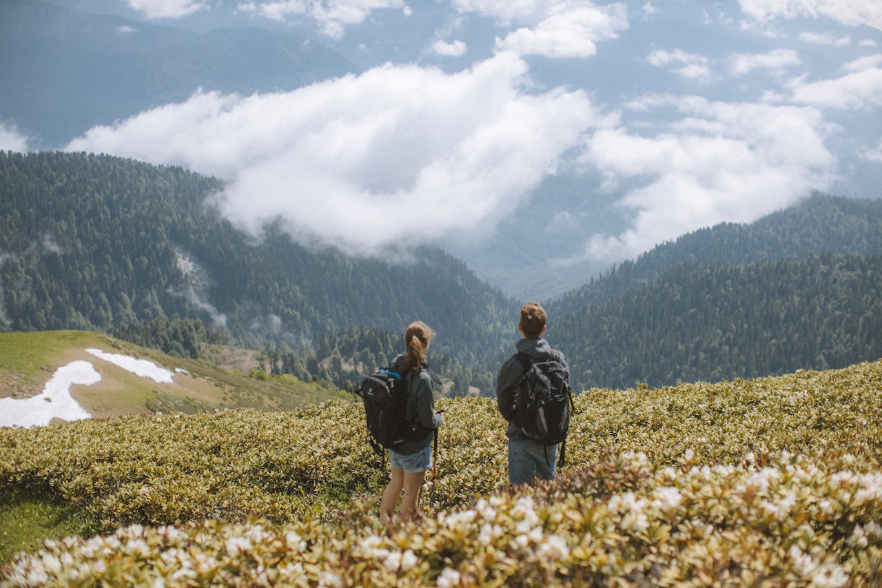 Découvrez le tourisme local : une aventure à portée de...