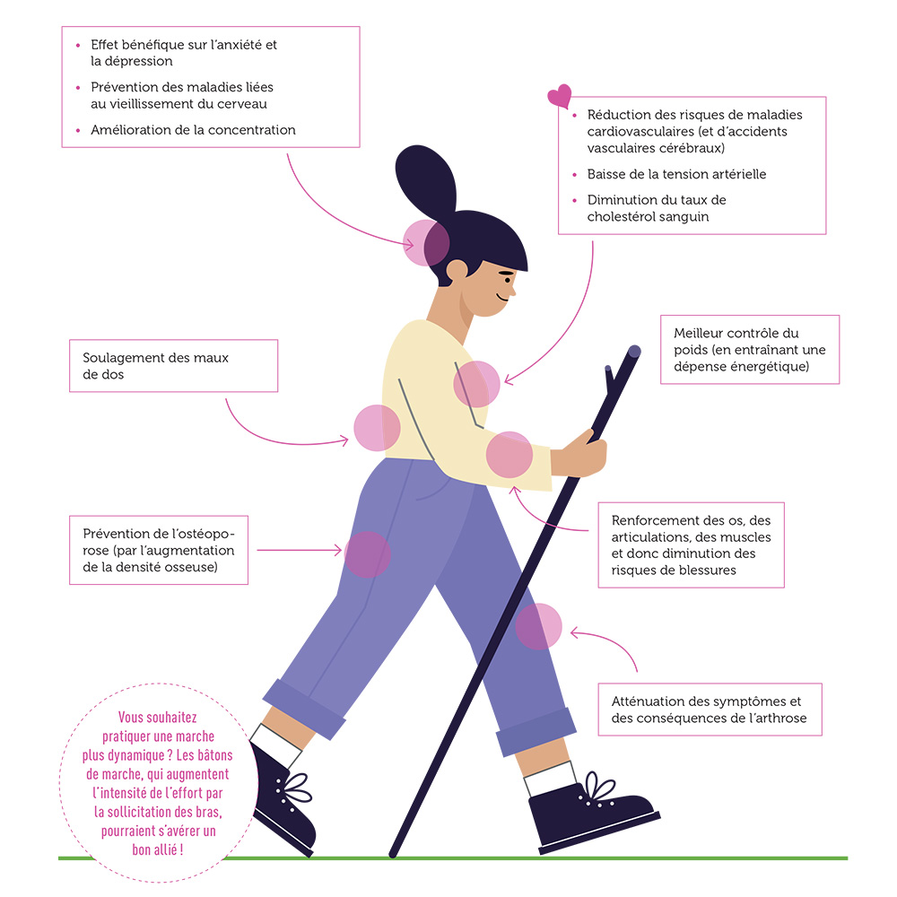 Découvrez les Bienfaits d'une Promenade pour la Santé e...