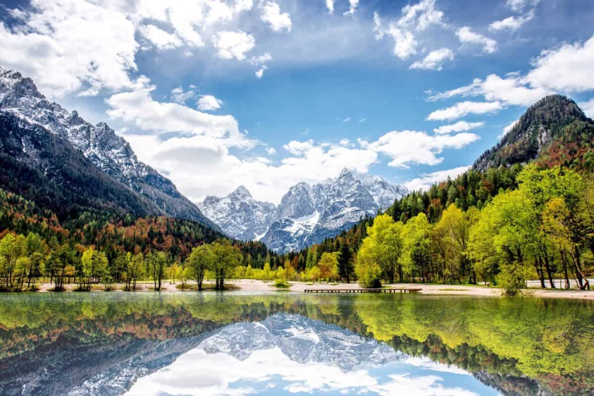 Découvrez les merveilles des parcs naturels