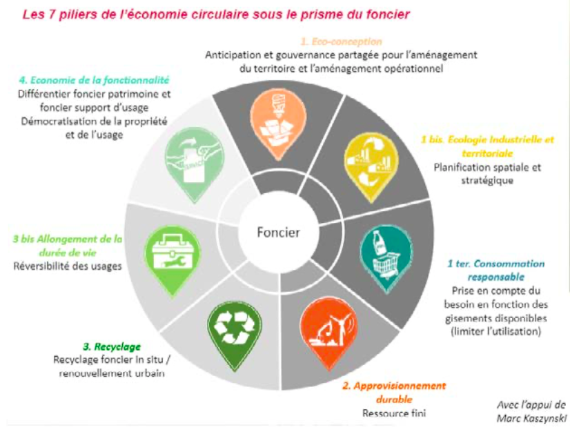 Développement Local : Dynamiser les Territoires