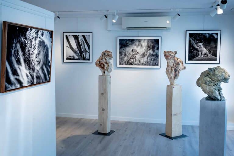Exposition : Découvrez l'Art de Présenter