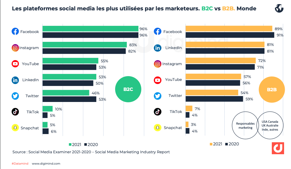 Influenceurs : Stratégies et Impact sur les Réseaux Soc...