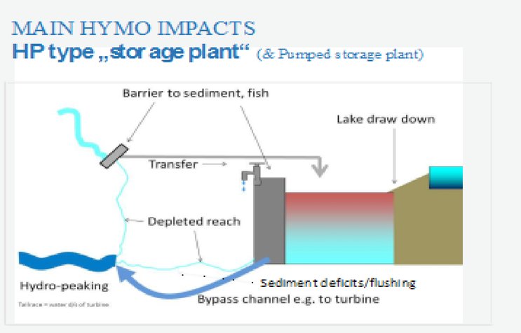 La Transmission : Un Pilier de la Continuité et de l'Inn...