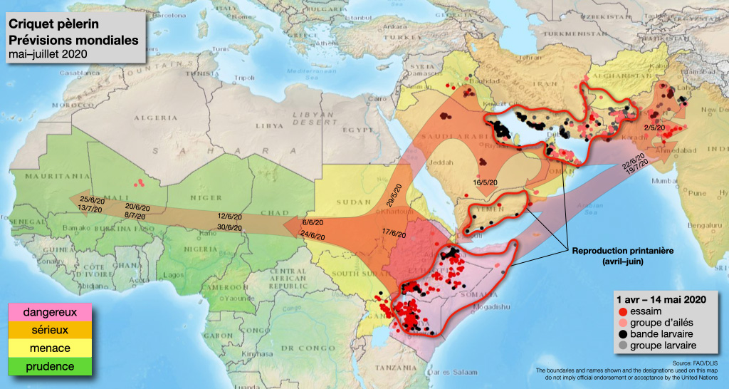 L'Invasion des Liens : Comprendre et Maîtriser le Phéno...