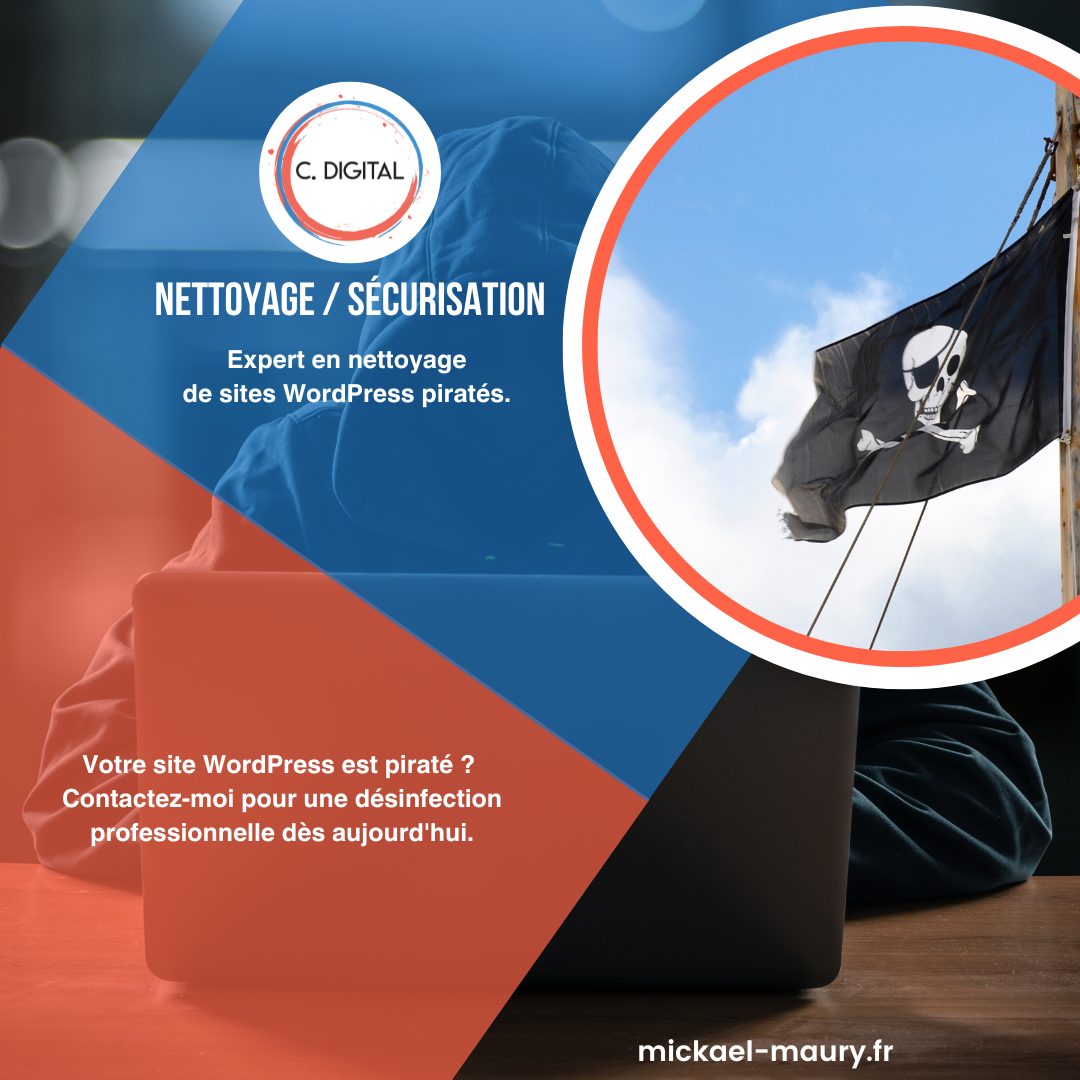 Site netoyage piraté