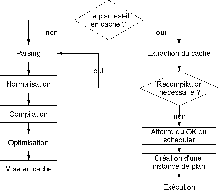 Optimisation des Requêtes SQL