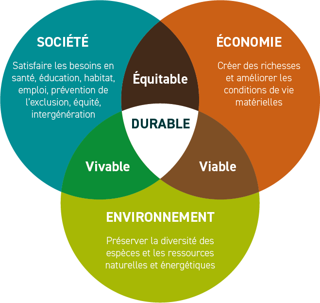 Qu'est-ce qu'une ressource : Définition et Importance