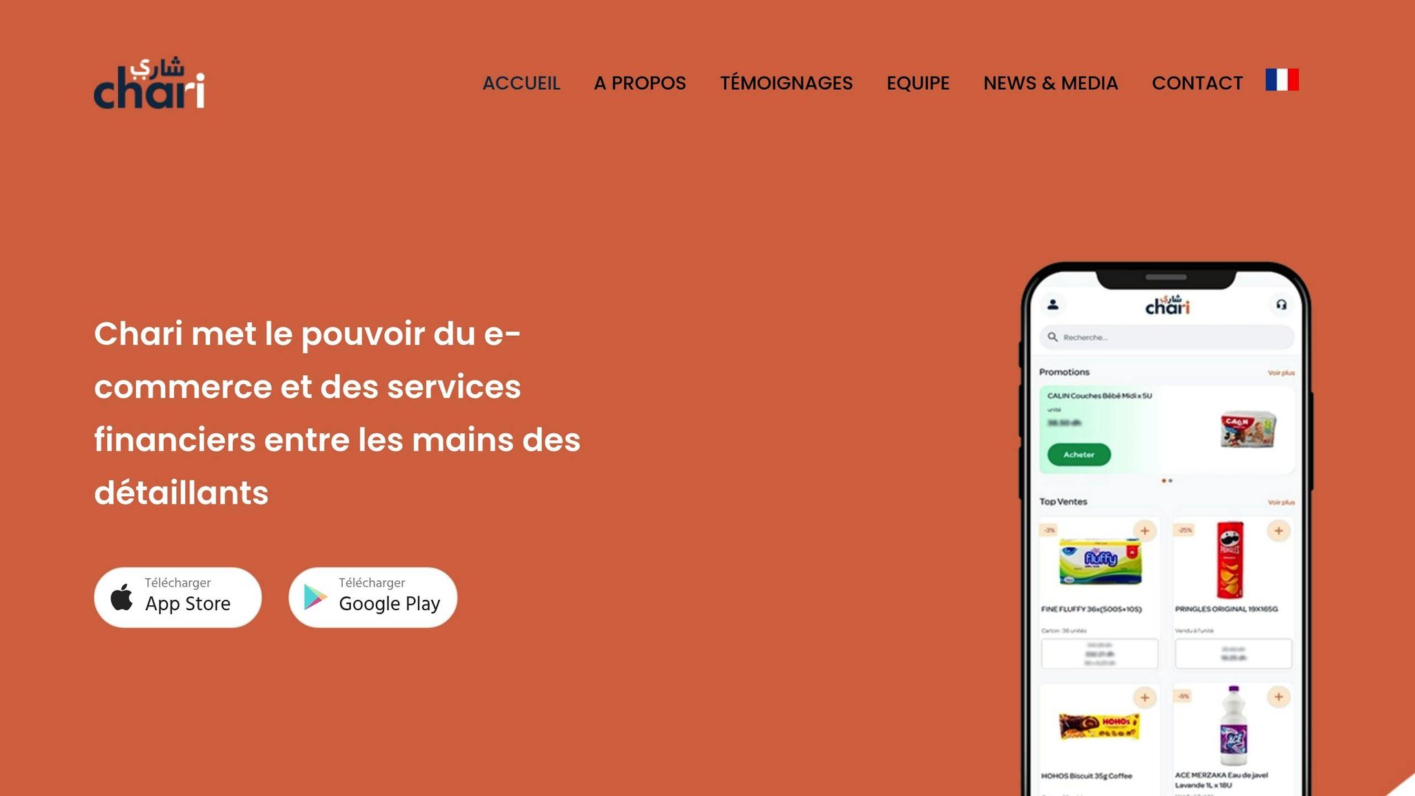 Expertise de reconnaissance MAROC: Dominez Google en 2026