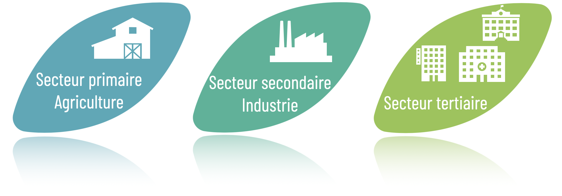 Secteur tertiaire