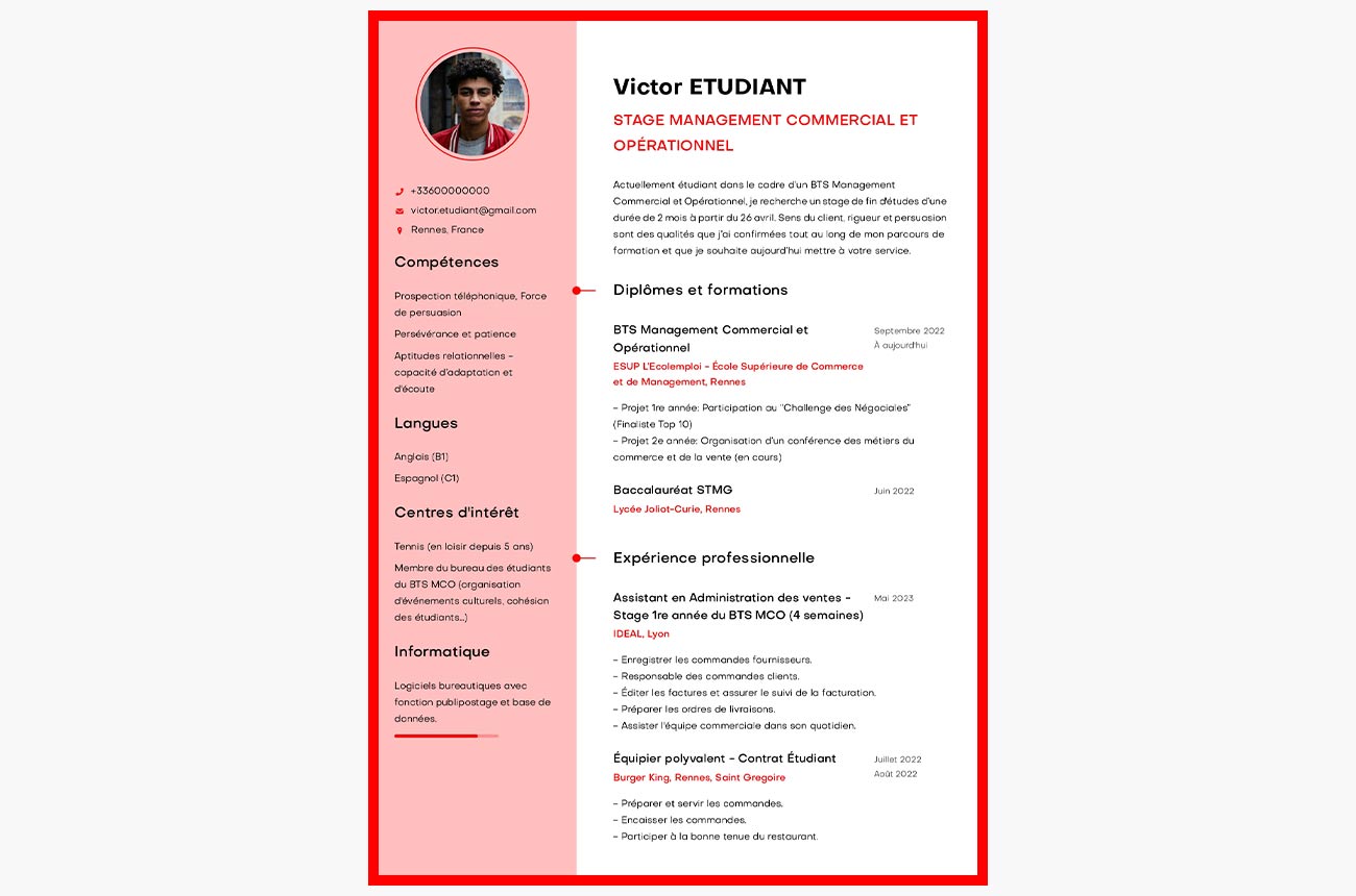 Stage : Guide Complet pour Réussir son Expérience Profe...